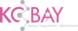 Kobay logo