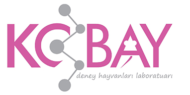 OSTİM OSB Sektör Konuşuyor - KOBAY A.Ş.